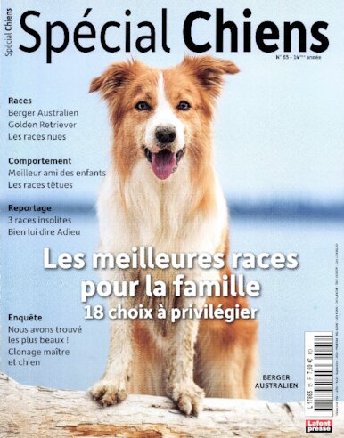 Spécial Chiens N° 65