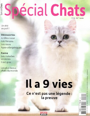 Spécial Chats N° 64