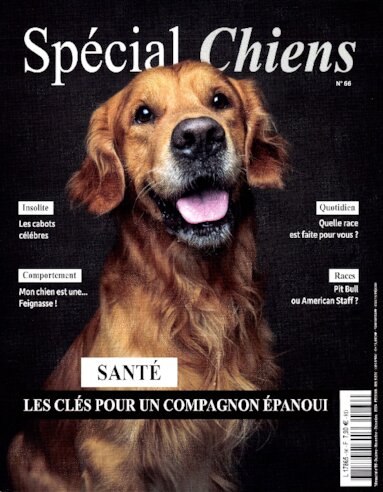 Spécial Chiens N° 66