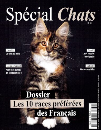 Spécial Chats N° 65